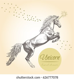 Horse. Unicorn.  Vector Vintage Engraved Illustration
