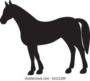 horse, vector