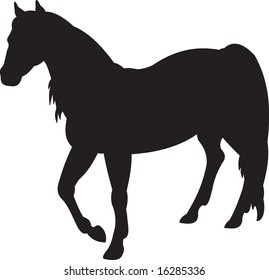 horse, vector