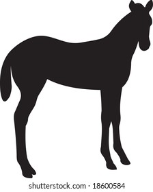 horse vector