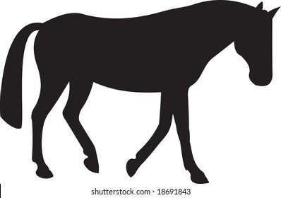 horse vector