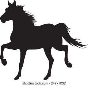 horse vector