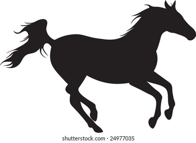 horse vector