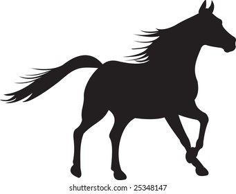 horse vector