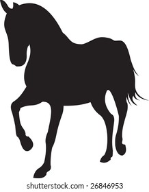 horse vector