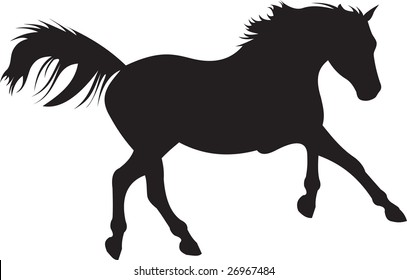 horse vector
