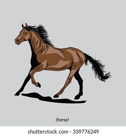 horse vector