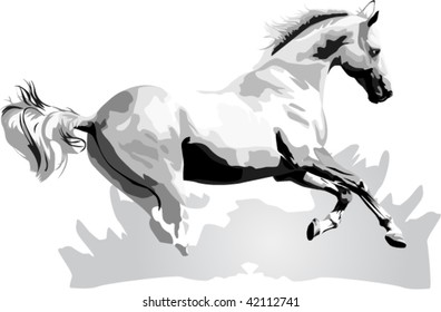 horse vector