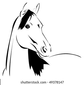 horse vector