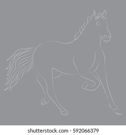 Horse vector