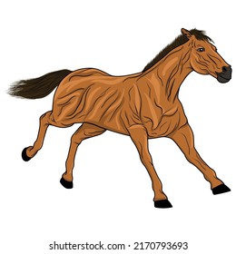 Horse Vector Art, Racing Horse, Image, Icon, Illustrations