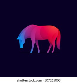 Horse vector character. Animal design elements for sport team branding, T-shirt, label, badge, card or illustration.