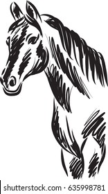 horse vector drawing illustration