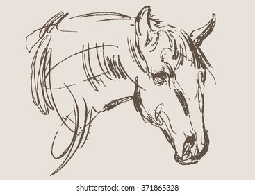 horse vector, hand draw sketch