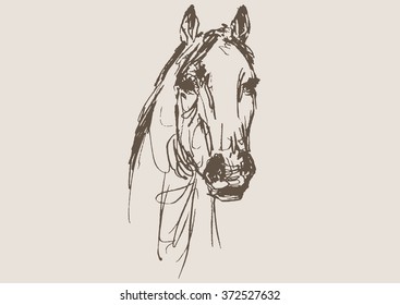 horse vector, hand draw sketch 