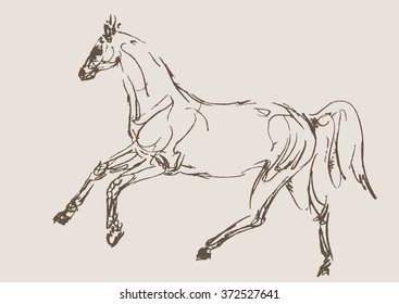 horse vector, hand draw sketch