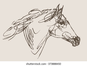 horse vector, hand draw sketch 