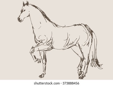 horse vector, hand draw sketch 