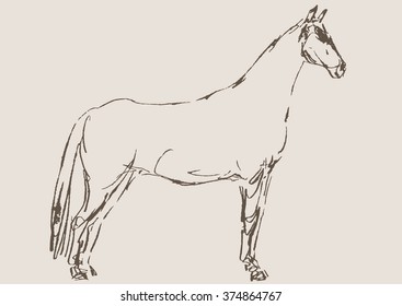 horse vector, hand draw sketch 