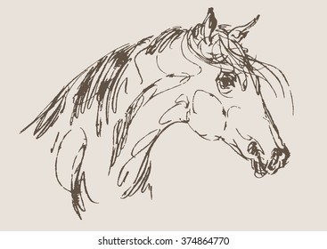 horse vector, hand draw sketch 