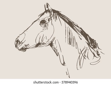horse vector, hand draw sketch