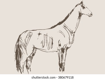 horse vector, hand draw sketch 