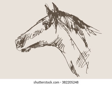 horse vector, hand draw sketch 
