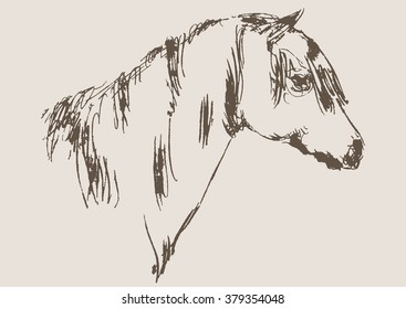 horse vector, hand drawn sketch