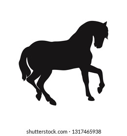 Horse vector icon