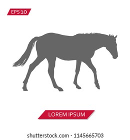 horse vector icon symbol
