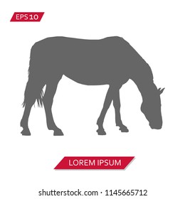 horse vector icon symbol