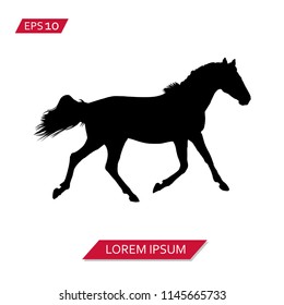 horse vector icon symbol