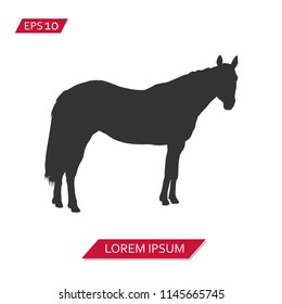 horse vector icon symbol