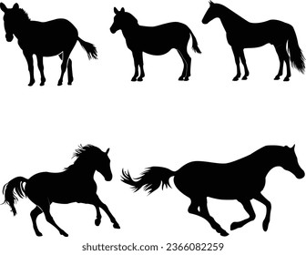 Horse vector icons: A collection of beautifully crafted, scalable horse illustrations in vector format. Perfect for equestrian enthusiasts, designers, and anyone in need of elegant equine graphics.