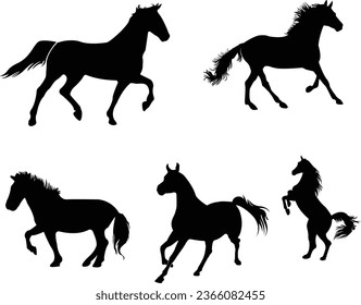 Horse vector icons: Elegant, scalable equine illustrations for diverse creative projects