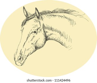 horse vector illustration
