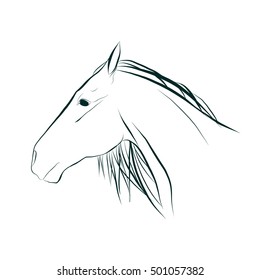 Horse vector illustration 