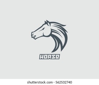 Horse Vector Illustration
