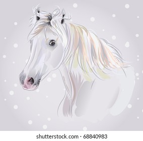 horse vector illustration