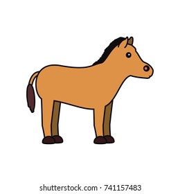 horse  vector illustration