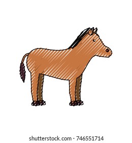 horse vector illustration