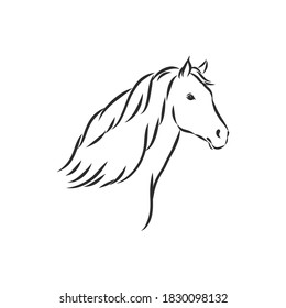 horse vector illustration - black and white outline. beautiful horse, horse icon, vector sketch illustration, the horse is beautiful, vector sketch illustration