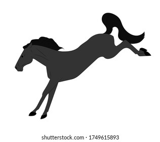 horse vector illustration, color illustration, vector, white background