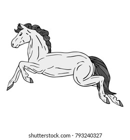 Horse vector illustration. Doodle style. Design, print, logo, decor, textile, paper.