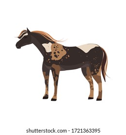 Horse vector illustration isolated on white background. Farm animal. Wild Mustang.
