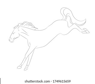 horse vector illustration, line drawing, vector, white background