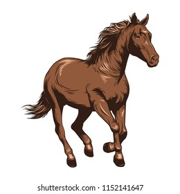 Horse Vector Illustration. Horse Racing. Drawing Horse In Color