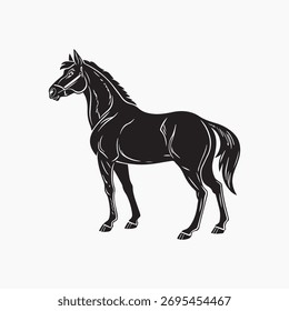 Illustrationsgrafik von Pferdevektorbildern