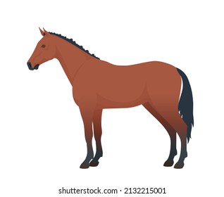 Horse. Vector isolated on a white bacground