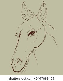 Horse Vector Line art and illustration